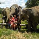The Must-Do: Authentic Elephant & Village Life in Chiang Mai - Who Should Consider This Tour?