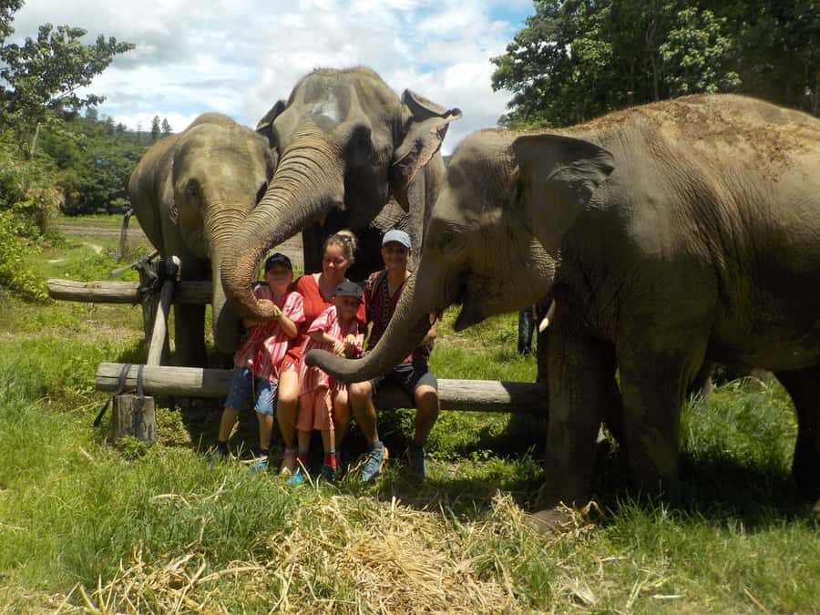 The Must-Do: Authentic Elephant & Village Life in Chiang Mai - Who Should Consider This Tour?