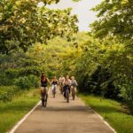 The Paddy and Lake Trail - Final Thoughts