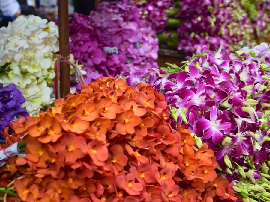 The Scents Bangkok: From Flower Market to DIY Thai Perfume - Discovering Bangkok Through Its Fragrances