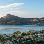 The Seasider - See Otagos Coastline From a New Perspective - Why This Tour Stands Out