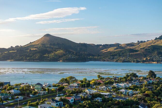 The Seasider - See Otagos Coastline From a New Perspective - Why This Tour Stands Out