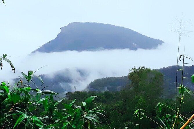 The Secret of Ancient Champa Civilization - FAQ