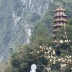 The tranquility of Hualien:From Open Waters to Sacred Valleys - Who Is This Tour Best Suited For?