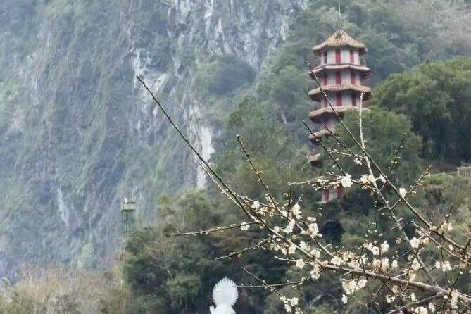 The tranquility of Hualien:From Open Waters to Sacred Valleys - Who Is This Tour Best Suited For?