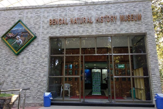 The Travel Tart (5 Point). - Who Is This Tour Best For?