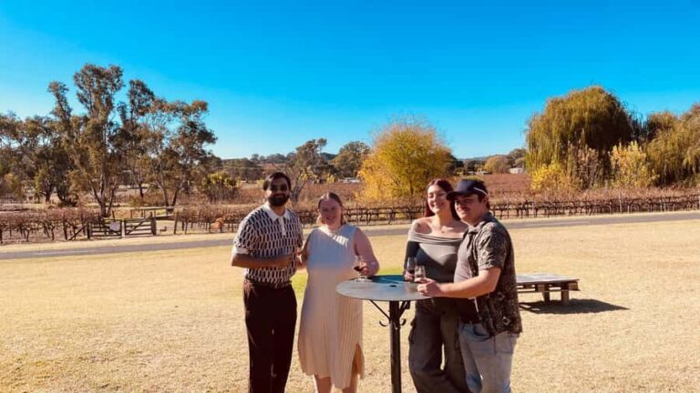 The Ultimate McLaren Vale Experience: Wine, Views & Luxury - Why Choose This Experience?