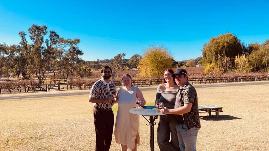 The Ultimate McLaren Vale Experience: Wine, Views & Luxury - Why Choose This Experience?