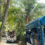 Three Days Mekong Delta Tour Floating Markets and Local Culture - In-Depth Review of Highlights