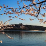 Tiananmen Square, Forbidden City and Cruise to the Summer Palace - Authentic Insights and Traveler Tips