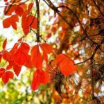 Tianjin Shore Excursion: Tian'anemen Square, Forbidden City and Summer Palace - Who Will Love This Tour?