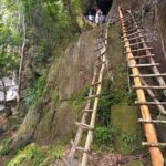 Tien Son Dinh 1 Day Trekking Tour Phu Quoc - Real Traveler Insights: What to Expect