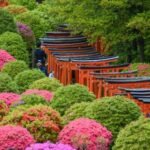 Timeless Tokyo Yanaka: Hidden Flavors & Old Tokyo Spirit - Practicalities and Details