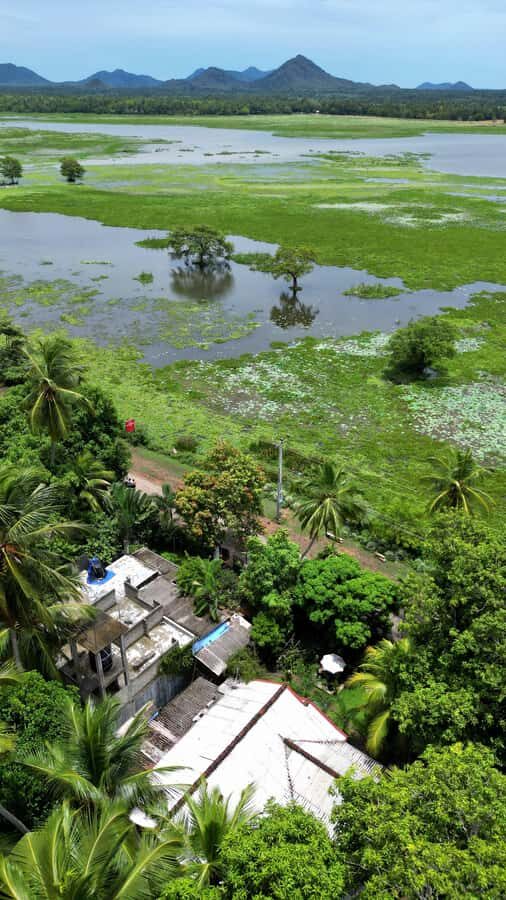 Tissamaharama: Sunset Boat Ride and Lake BBQ with Beer - Why This Tour Is Worth Considering