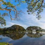 Tissamaharama: Sunset Boat Tour and Lake BBQ - Final Thoughts: Who Should Consider This Tour?