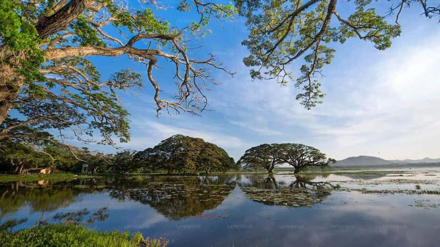 Tissamaharama: Sunset Boat Tour and Lake BBQ - Final Thoughts: Who Should Consider This Tour?