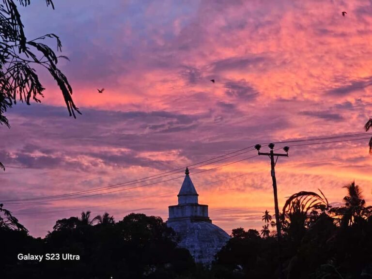 Tissamaharama: Temple Tour by Tuk-Tuk with Guide - An In-Depth Look at the Temple Tour Experience
