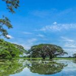 Tissamaharama To Ella - Final Thoughts