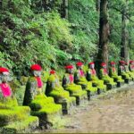 Tochigi: Nikko City, Waterfalls, & Ropeway Tour - Who Will Love This Tour?