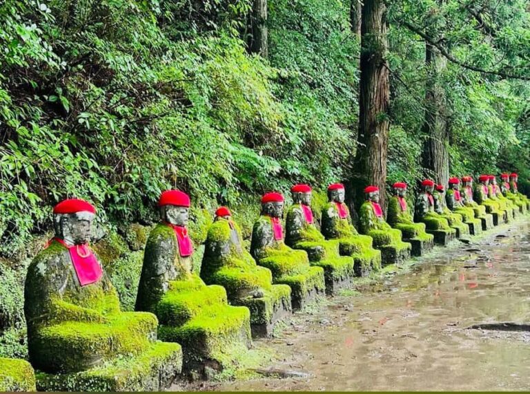 Tochigi: Nikko City, Waterfalls, & Ropeway Tour - Who Will Love This Tour?