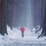 Togakushi Shrine Private Tour with English Local Guide - An In-Depth Look at the Togakushi Shrine Private Tour