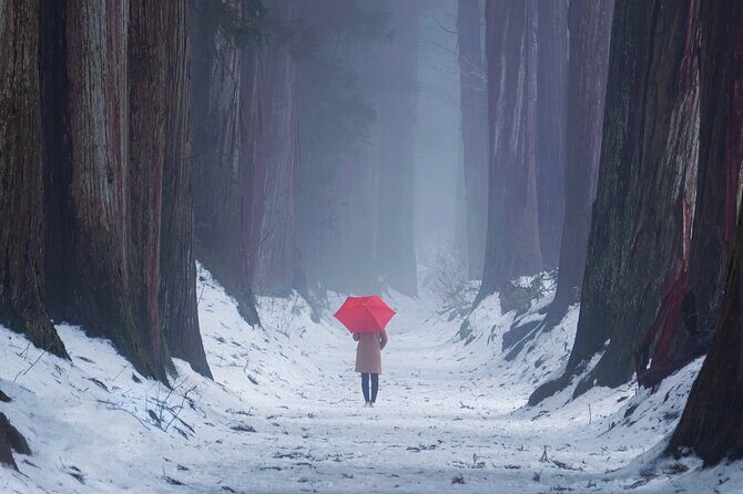 Togakushi Shrine Private Tour with English Local Guide - An In-Depth Look at the Togakushi Shrine Private Tour