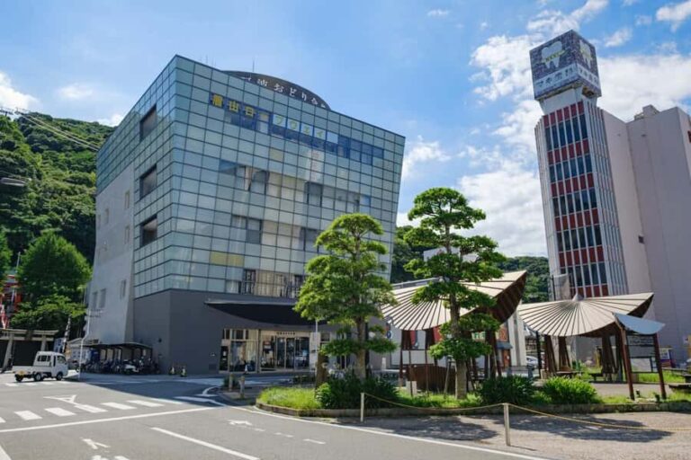 Tokushima: Awa Odori Cultural Experience & Live Performance - What to Expect from the Tour