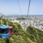Tokushima Private Custom Tour with Local Guide - Practical Details and What to Expect