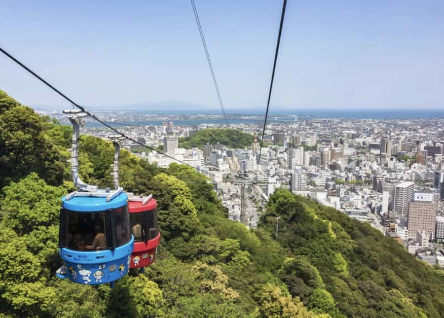 Tokushima Private Custom Tour with Local Guide - Practical Details and What to Expect