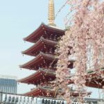 Tokyo: 2-Day Guided Tour with Kamakura & Hotel Pickup - Exploring Day 1 in Tokyo
