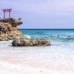 Tokyo: 2-Day Izu Coast & Cherry Blossom Trip in small group - Why This Tour Offers Value