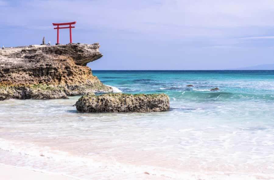 Tokyo: 2-Day Izu Coast & Cherry Blossom Trip in small group - Why This Tour Offers Value
