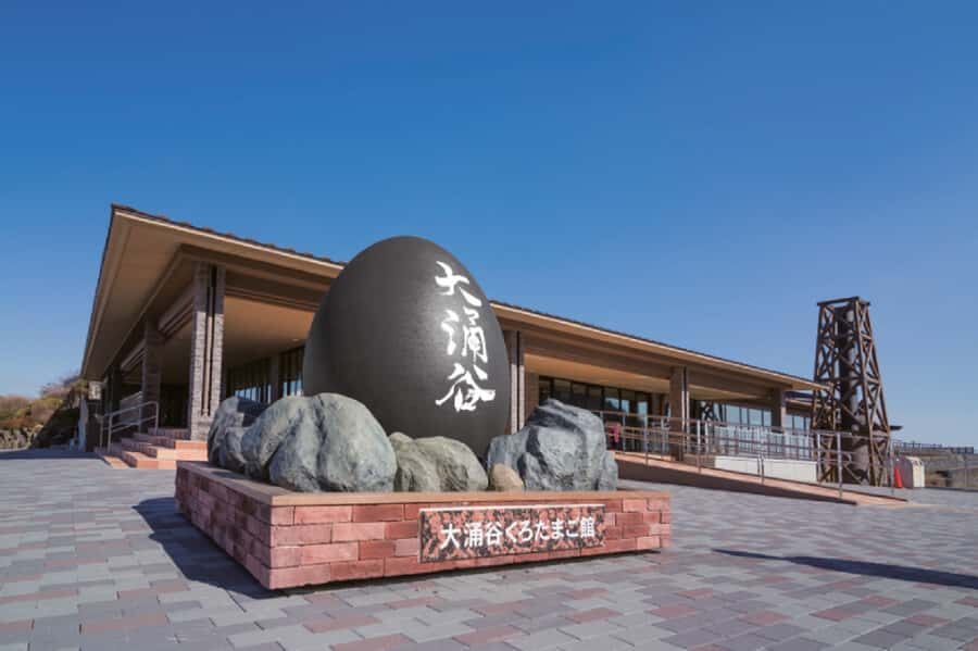 Tokyo | 2-Day Shizuoka Surfing + Hakone Hot Springs Tour - Day Two: Scenic Wonders of Hakone