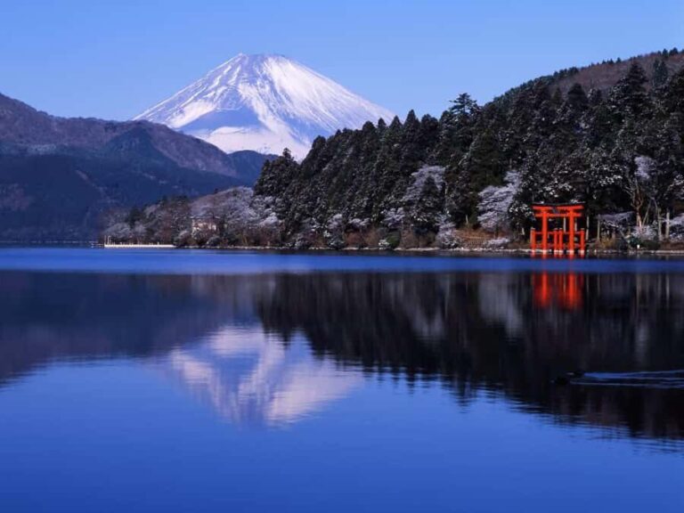 Tokyo: 6-Day Japan Tour with Hotels and Guide - Why Travelers Will Appreciate This Tour