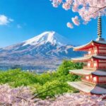 Tokyo 6 Top Spots: Yamanakako, Oshino Hakkai, Oishi Park - An In-Depth Look at the Tour Itinerary