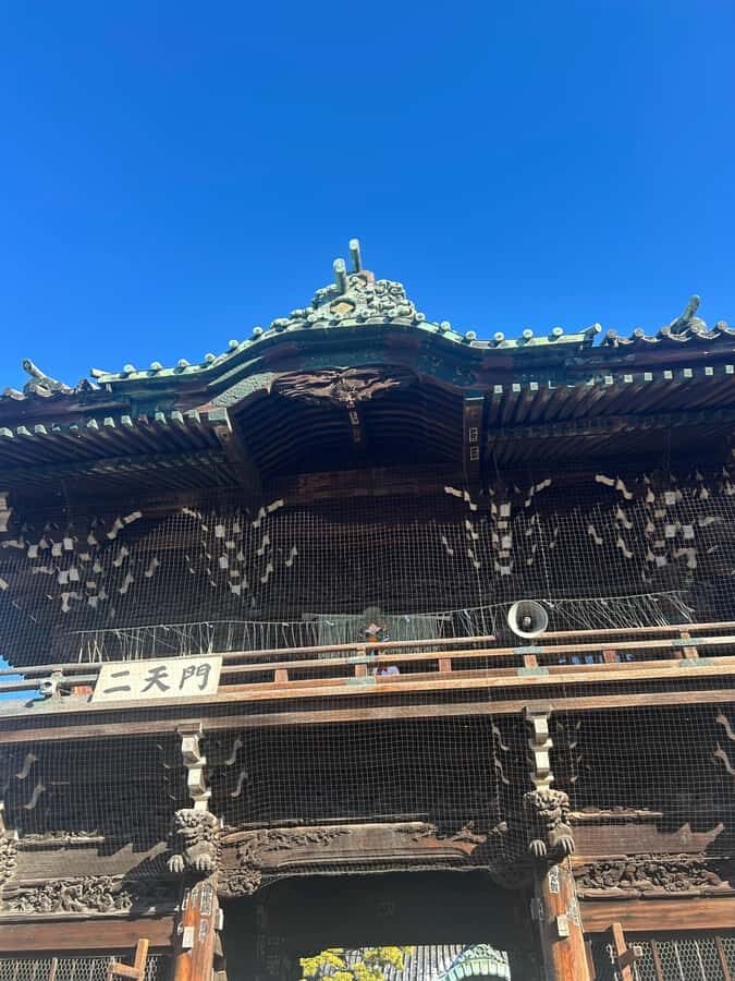 Tokyo: A Peek into the Old Town of Shibamata - Practical Details and Experience Highlights