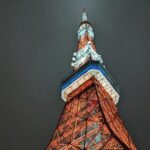 Tokyo After Dark Scenic Night Tour - Inclusion and Practical Details