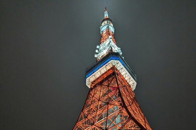 Tokyo After Dark Scenic Night Tour - Inclusion and Practical Details