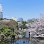 Tokyo: Anime-Inspired Cityscapes Day Tour (Makoto Shinkai) - Who Will Love This Tour?
