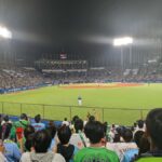 Tokyo: Baseball Game Experience with Local Guide & Snacks - Why You’ll Love This Experience