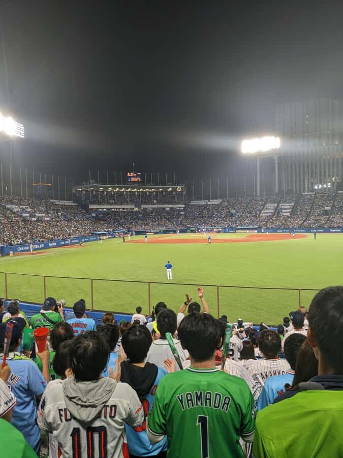 Tokyo: Baseball Game Experience with Local Guide & Snacks - Why You’ll Love This Experience