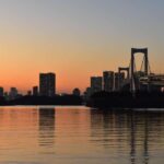 Tokyo Bay, Ginza & Shinbashi by Night 2.5 Hrs - The Highlights in Detail