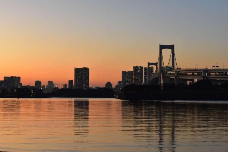 Tokyo Bay, Ginza & Shinbashi by Night 2.5 Hrs - The Highlights in Detail