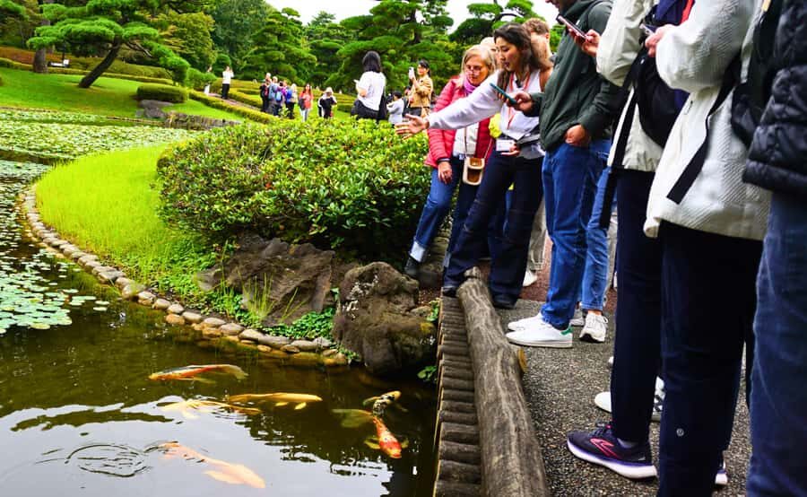 Tokyo Castle: Imperial Palace, Shogun & Garden Walking Tour - Practical Details and What You Need to Know
