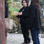 Tokyo: Chichibu Valley Driving Tour to Buddhist Temples - Why This Tour Offers Great Value