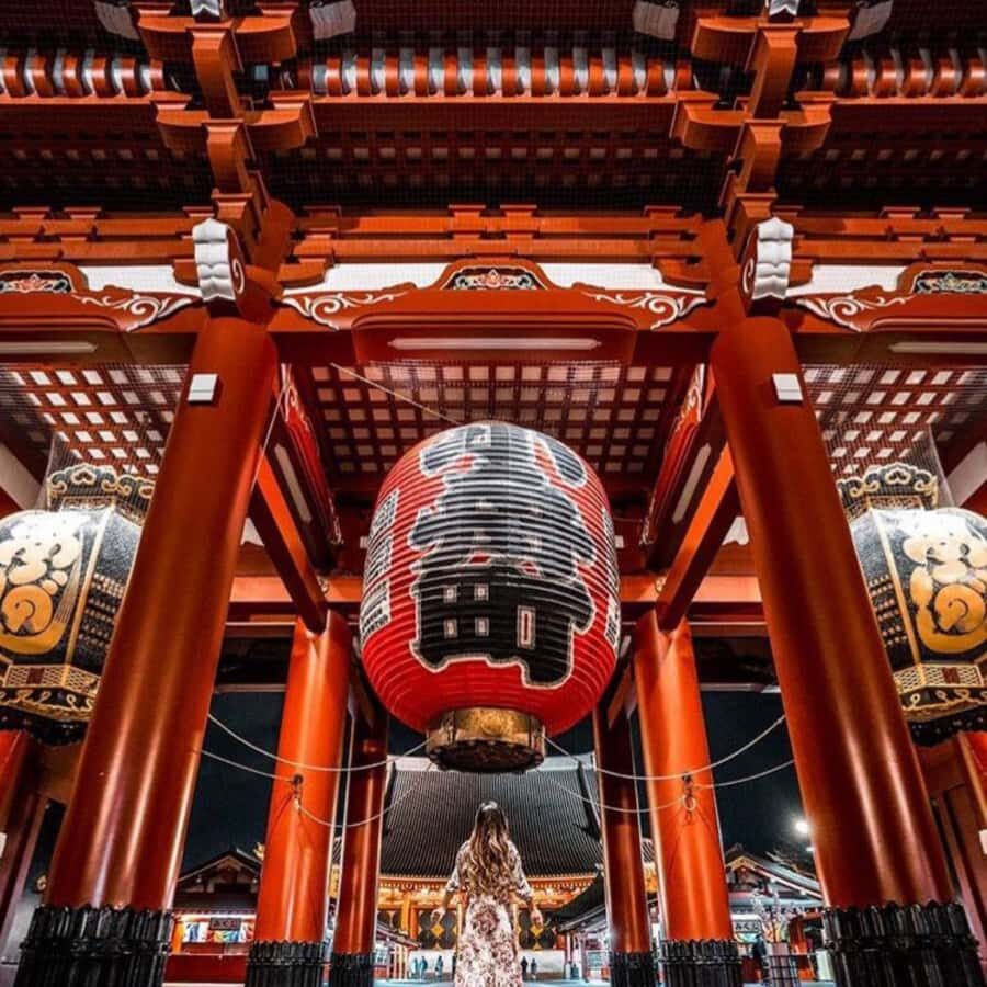 Tokyo City Private Day Tour By English Speaking Driver - Logistics & Practicalities