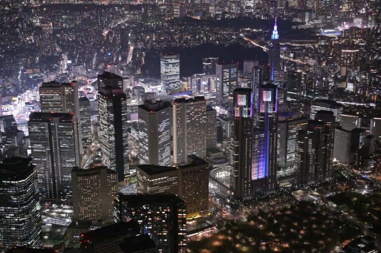 Tokyo: City Sights at Night by Helicopter - Final Thoughts: Who Should Consider This Tour?
