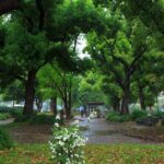 Tokyo City Walking Tour: Tokyo Tower Zojoji Temple and Shiba Park - Why This Tour Works for Visitors