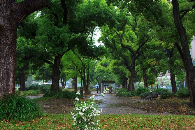 Tokyo City Walking Tour: Tokyo Tower Zojoji Temple and Shiba Park - Why This Tour Works for Visitors