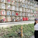 Tokyo: Customized Private Walking Tour with Hitomy _5hrs - Final Thoughts: Who Should Book This?